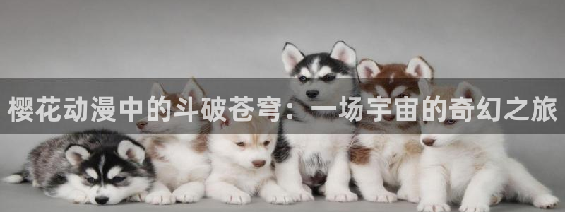 囧次元app入口：樱花动漫中的斗破苍穹：一场宇宙的奇幻之旅