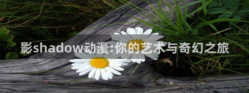 囧次元官方官网入口：影shadow动漫:你的艺术与奇幻之旅