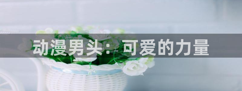 囧次元正版：动漫男头：可爱的力量