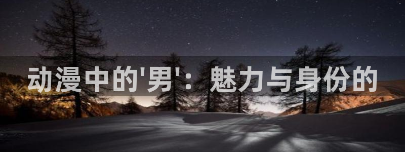囧次元官方网站入口安卓版：动漫中的\'男\'：魅力与身份的