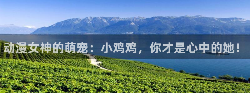 囧次元下载最新版本：动漫女神的萌宠：小鸡鸡，你才是心中的她！