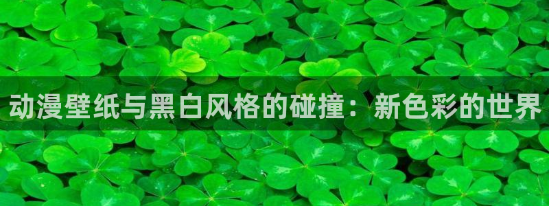 囧次元下载官网：动漫壁纸与黑白风格的碰撞：新色彩的世界