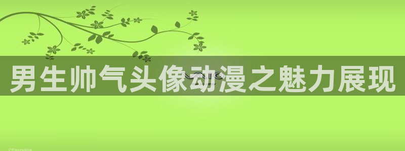 囧次元下载最新：男生帅气头像动漫之魅力展现