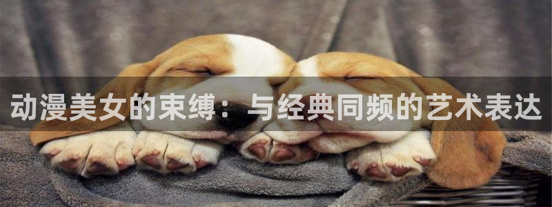 囧次元怎么登录：动漫美女的束缚：与经典同频的艺术表达