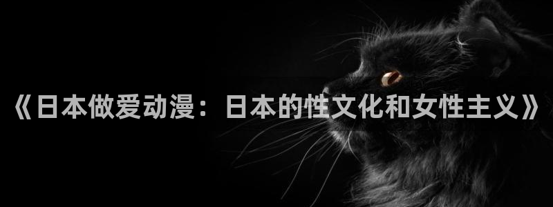 囧次元ios：《日本做爱动漫：日本的性文化和女性主义》