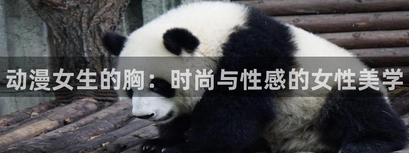 囧次元app最新：动漫女生的胸：时尚与性感的女性美学