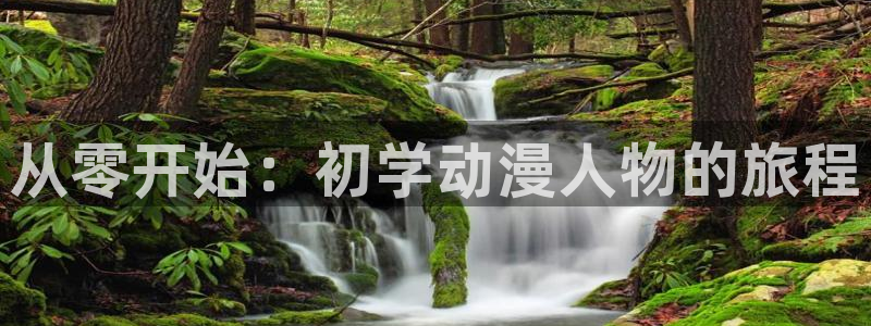 囧次元正版下载：从零开始：初学动漫人物的旅程