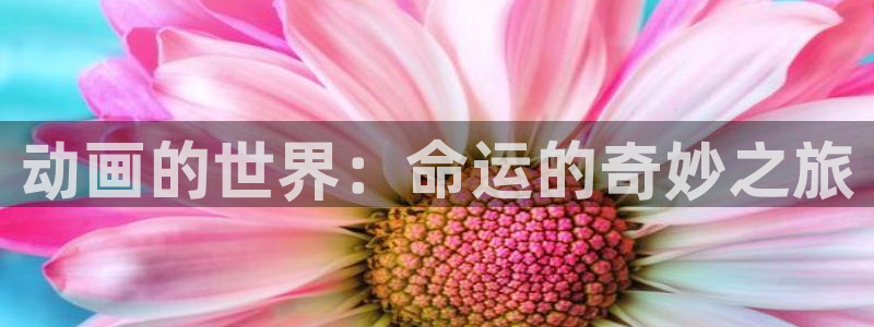 囧次元app下载动漫：动画的世界：命运的奇妙之旅