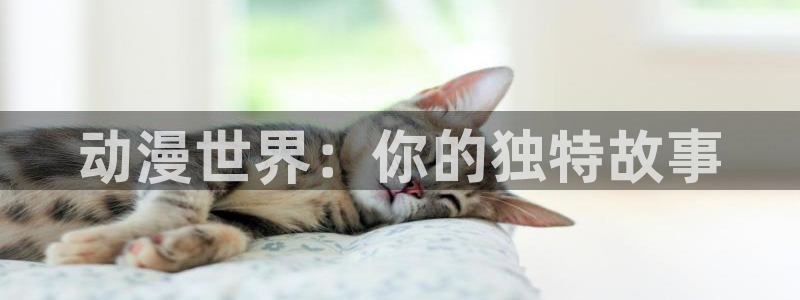 囧次元下载官方app：动漫世界：你的独特故事