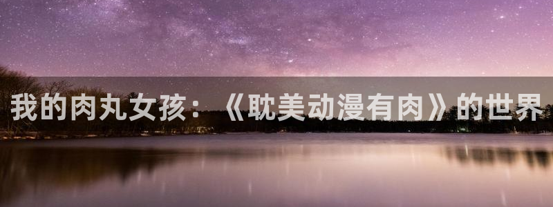 囧次元囧次元：我的肉丸女孩：《耽美动漫有肉》的世界