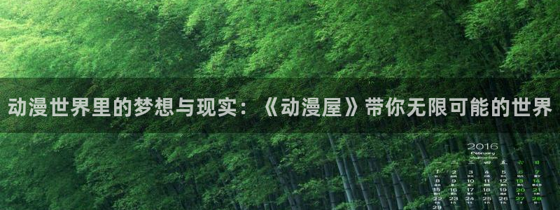 囧次元大全：动漫世界里的梦想与现实：《动漫屋》带你无限可能的世界