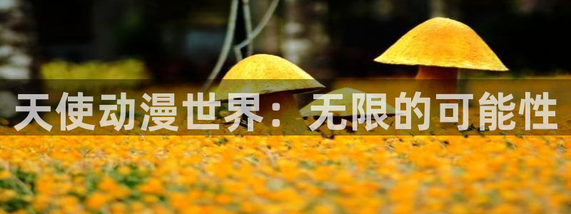 囧次元 翻译：天使动漫世界：无限的可能性