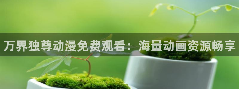 囧次元最新版本下载官方正版：万界独尊动漫免费观看：海量动画资源畅享