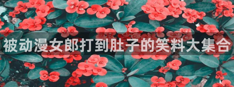 囧次元下载最新：被动漫女郎打到肚子的笑料大集合
