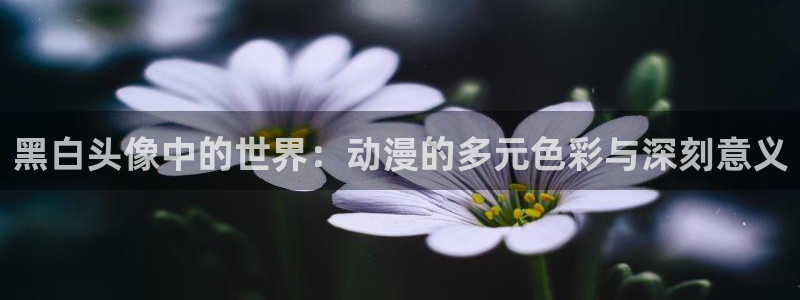 囧次元官方网站入口下载：黑白头像中的世界：动漫的多元色彩与深刻意义