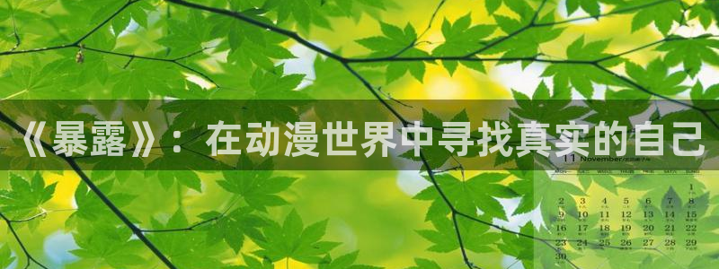 囧次元app下载官网版安卓：《暴露》：在动漫世界中寻找真实的自己