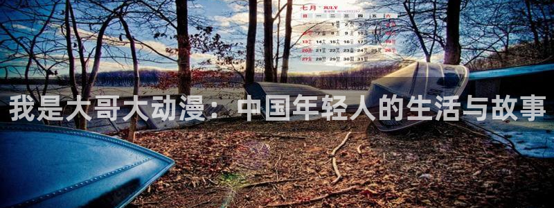 囧次元下载最新：我是大哥大动漫：中国年轻人的生活与故事