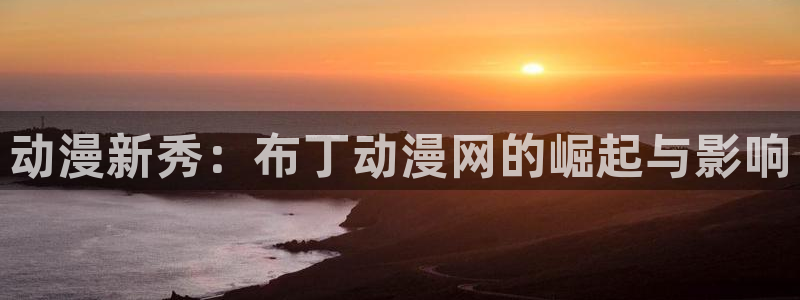 囧次元app最新版本：动漫新秀：布丁动漫网的崛起与影响