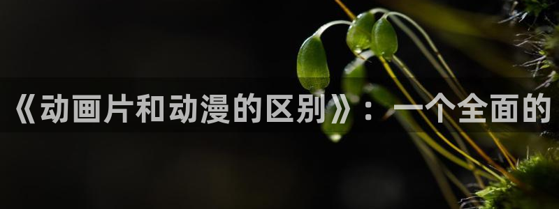 囧次元app官方下载：《动画片和动漫的区别》：一个全面的