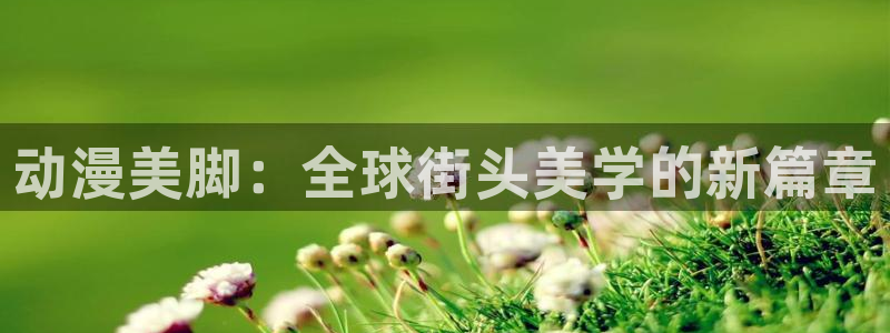 囧次元下载官方：动漫美脚：全球街头美学的新篇章