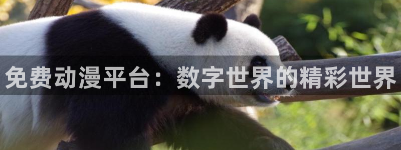 jcyapp囧次元官网入口：免费动漫平台：数字世界的精彩世界