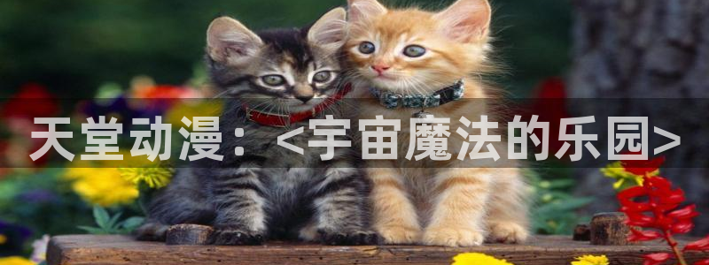 囧次元新版：天堂动漫：<宇宙魔法的乐园>