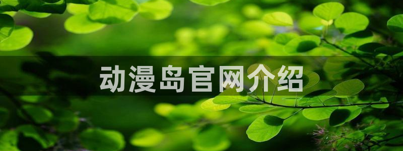 囧次元最新版官方正版：动漫岛官网介绍
