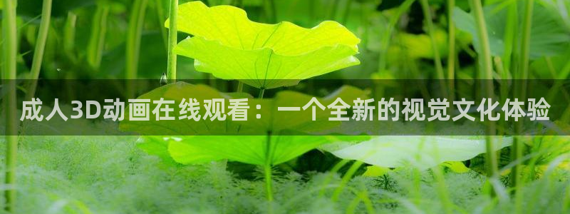 囧次元囧次元：成人3D动画在线观看：一个全新的视觉文化体验