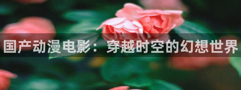 囧次元网站链接：国产动漫电影：穿越时空的幻想世界